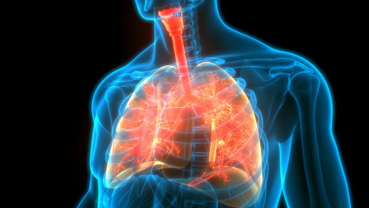 Descubre cómo un humidificador para la bronquitis puede aliviar los síntomas, mejorar la respiración y proporcionar un ambiente más cómodo para la recuperación.